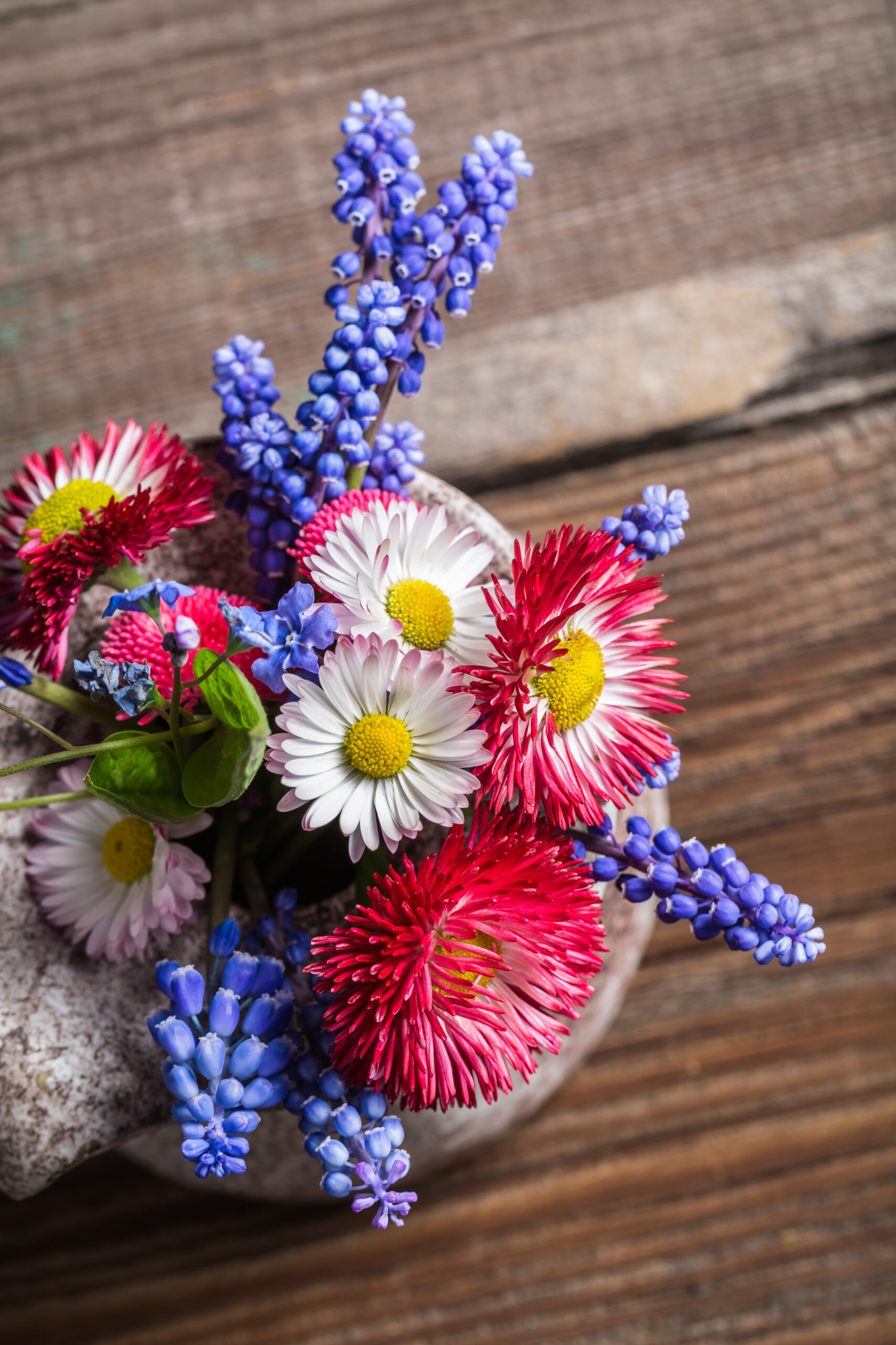 Fresh spring flowers in a vase