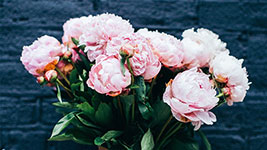 funeral4-1 – Copy